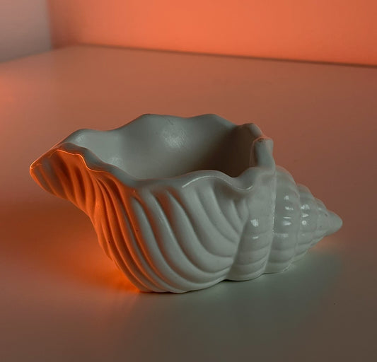 Seashell Trinket Holder