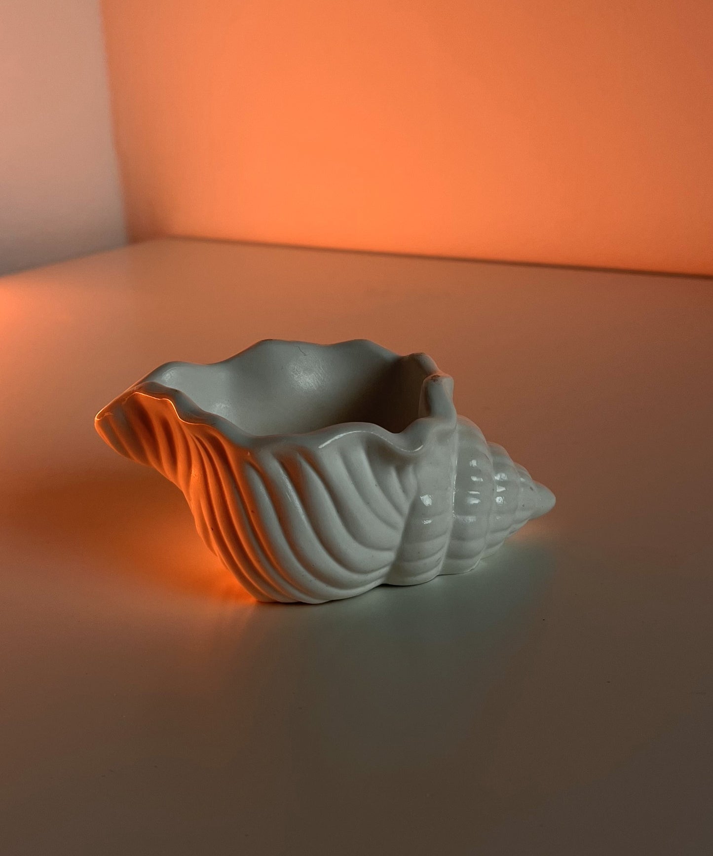 Seashell Trinket Holder